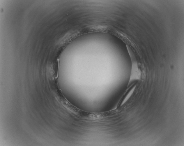 X0000083970764200703021844