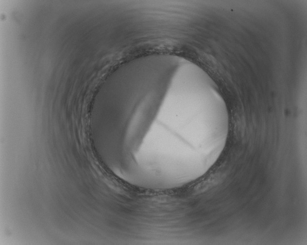 X0000083970769200703021844