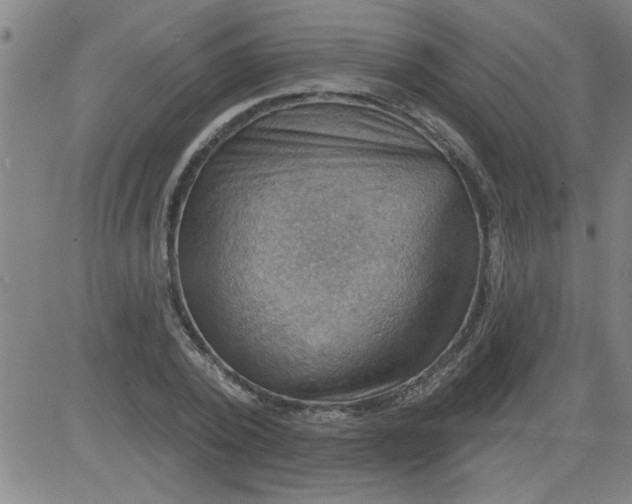 X0000083970784200703021843