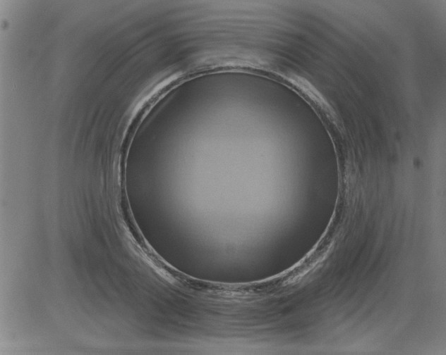 X0000083970790200703021843