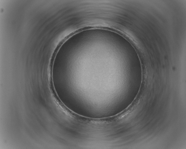 X0000083970840200703021842