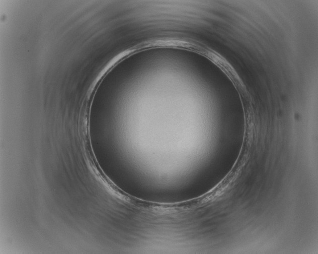 X0000083970852200703021843