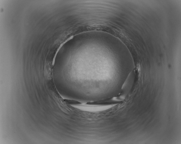 X0000083970868200703021842