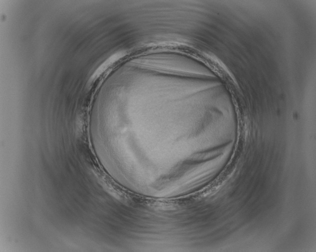 X0000083970874200703021842