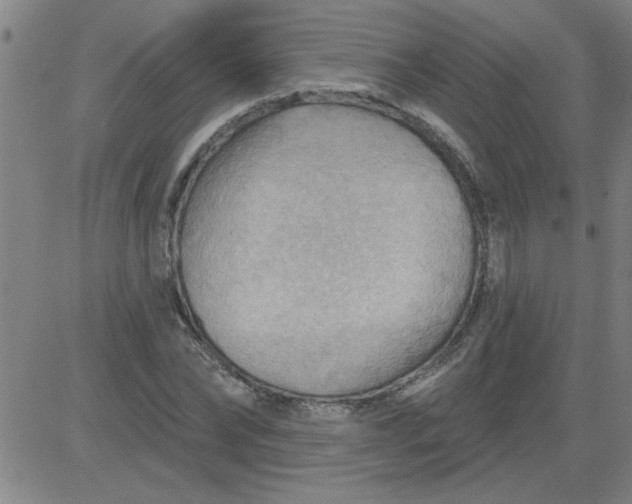 X0000083970878200703021842