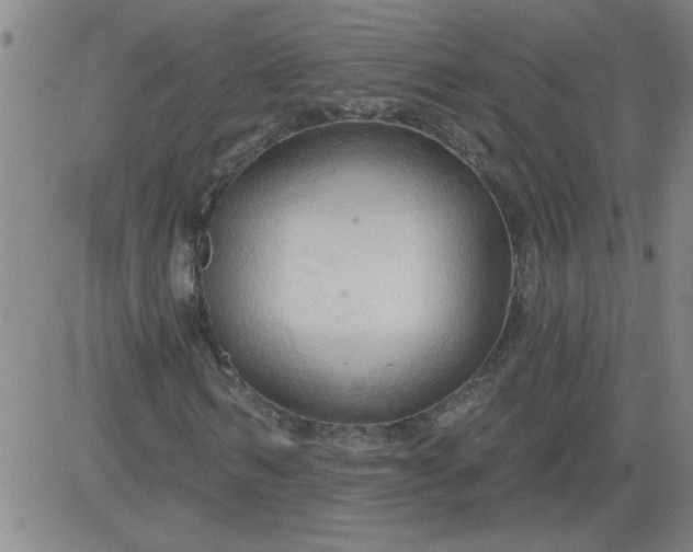 X0000083970962200703021840