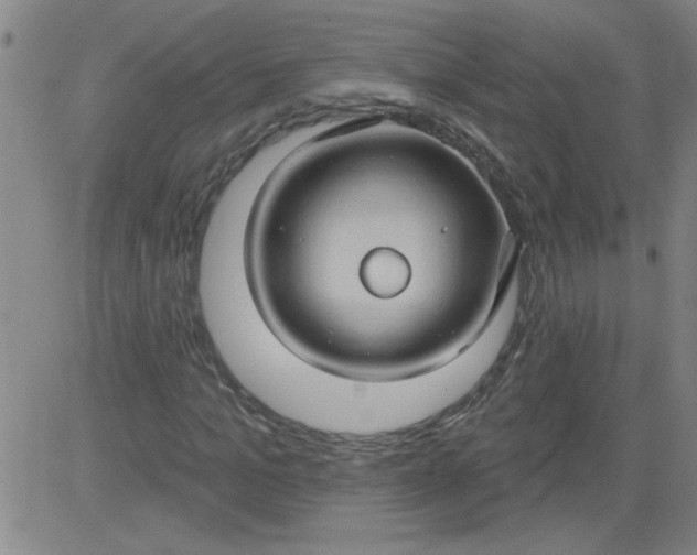 X0000083970965200703021840