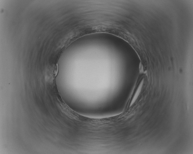 X0000083971012200703021839