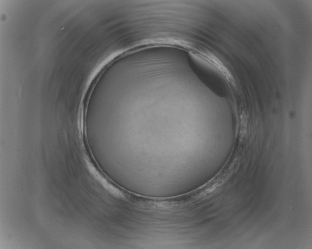 X0000083971084200703021838