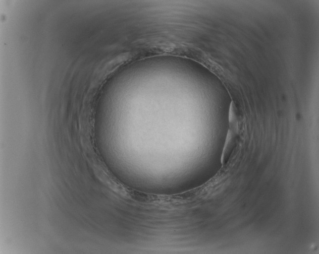 X0000083971105200703021837