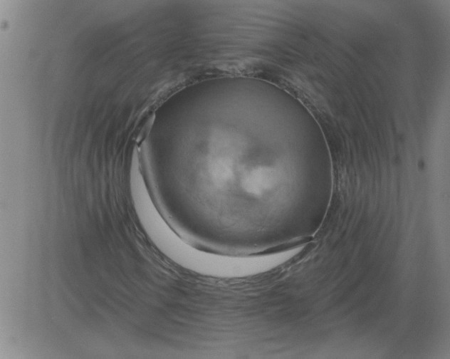 X0000083971106200703021837