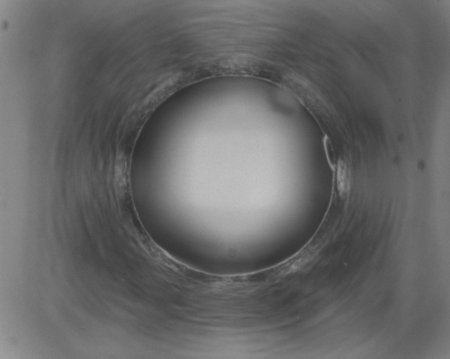 X0000083971107200703021837