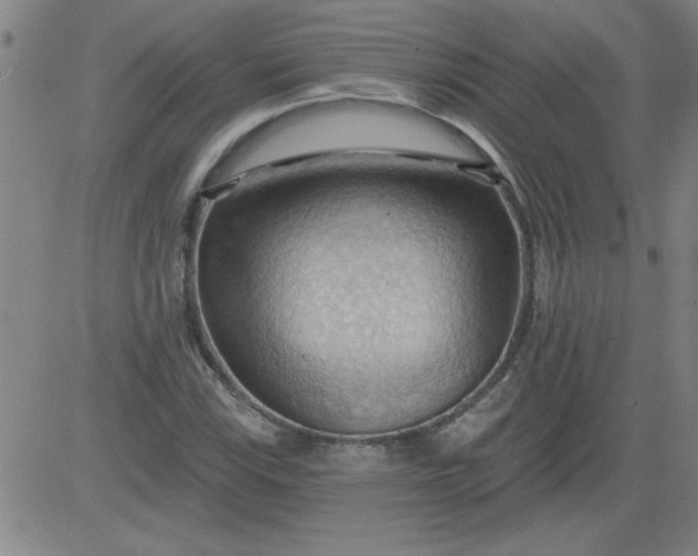 X0000083971115200703021837