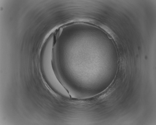 X0000083971127200703021837