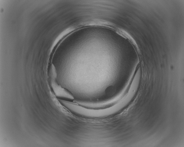 X0000083971138200703021837