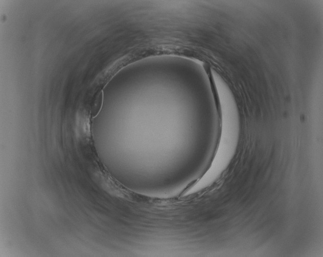 X0000083971155200703021837