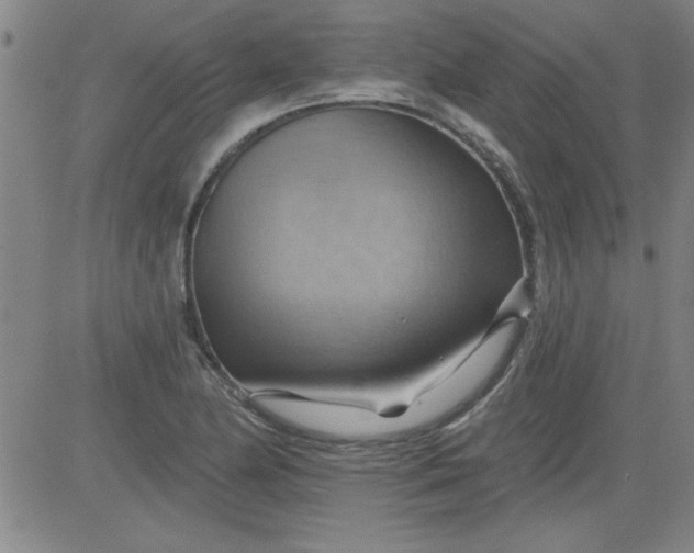 X0000083971174200703021836