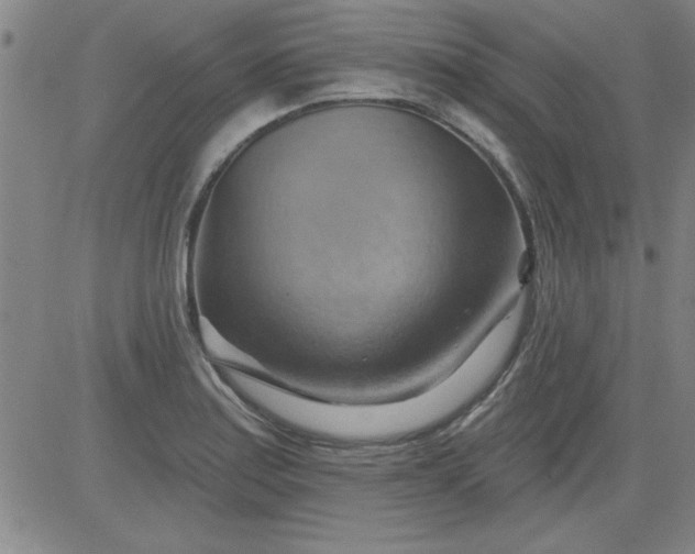 X0000083971179200703021836