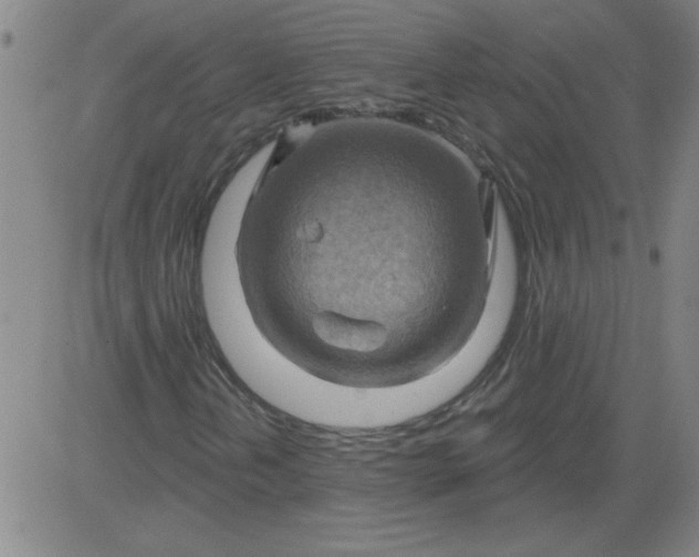 X0000083971202200703021835