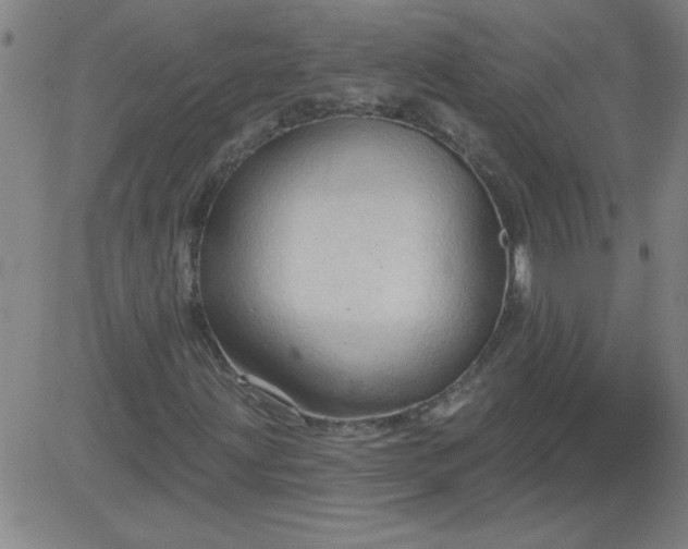 X0000083971203200703021835