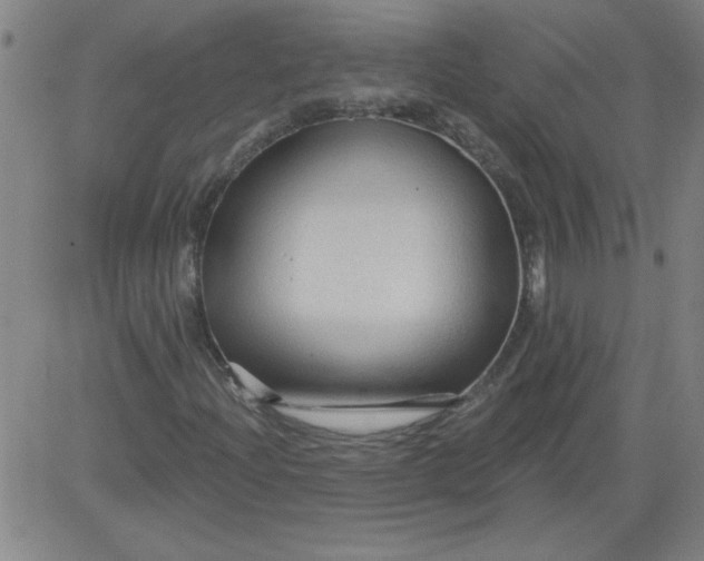 X0000083971204200703021835