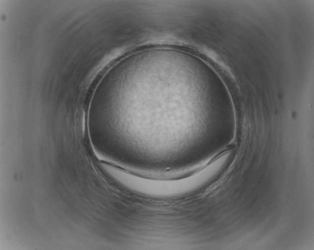X0000083971221200703021835