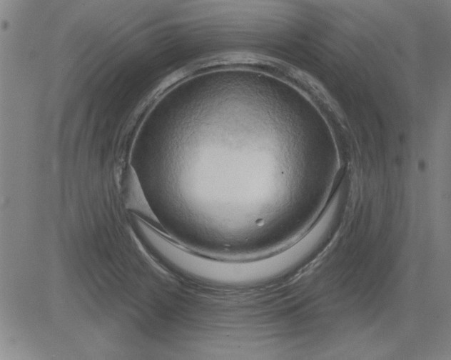 X0000083971225200703021835