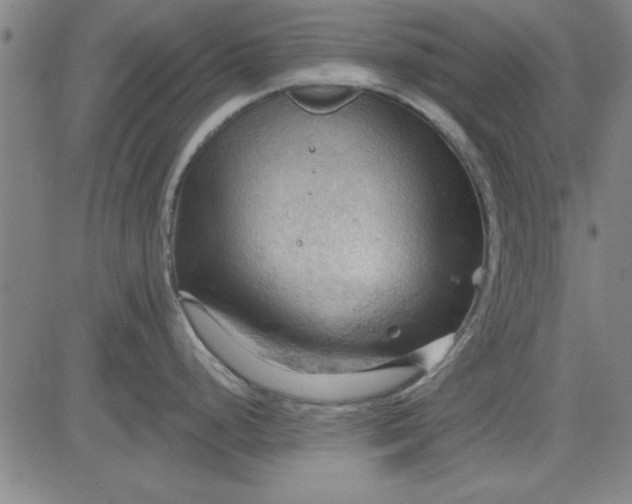 X0000083971248200703021836