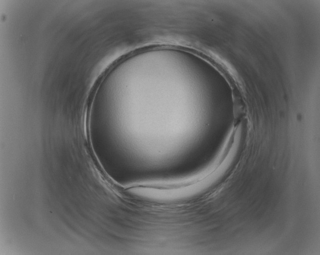 X0000083971272200703021835