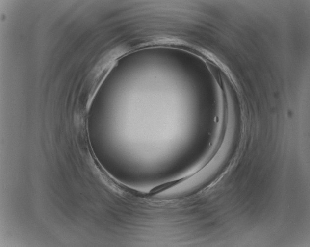 X0000083971281200703021834