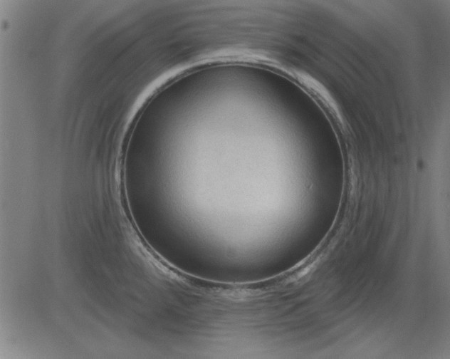 X0000083971288200703021834