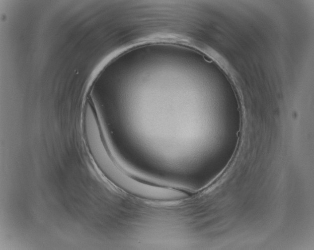 X0000083971296200703021834