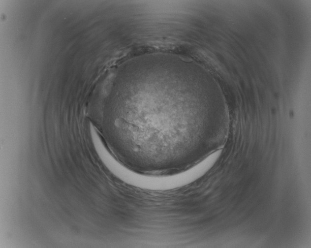 X0000083971298200703021833