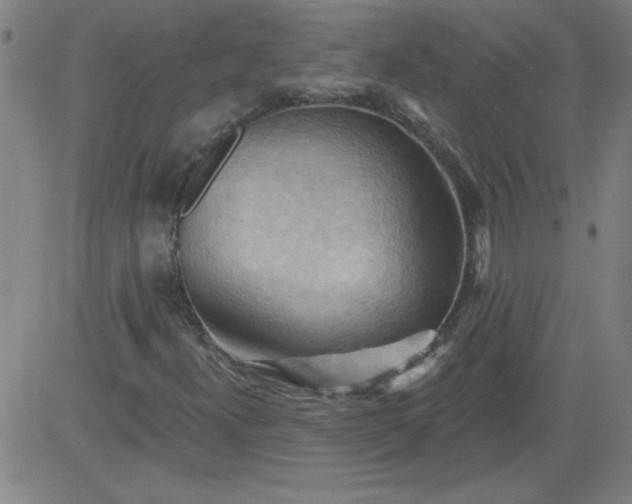 X0000083971300200703021833