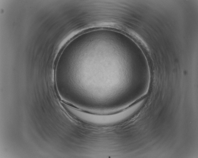 X0000083971324200703021834