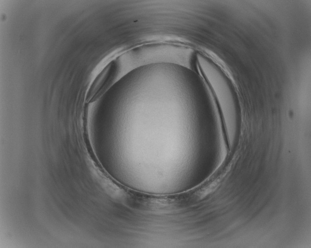 X0000083971330200703021834
