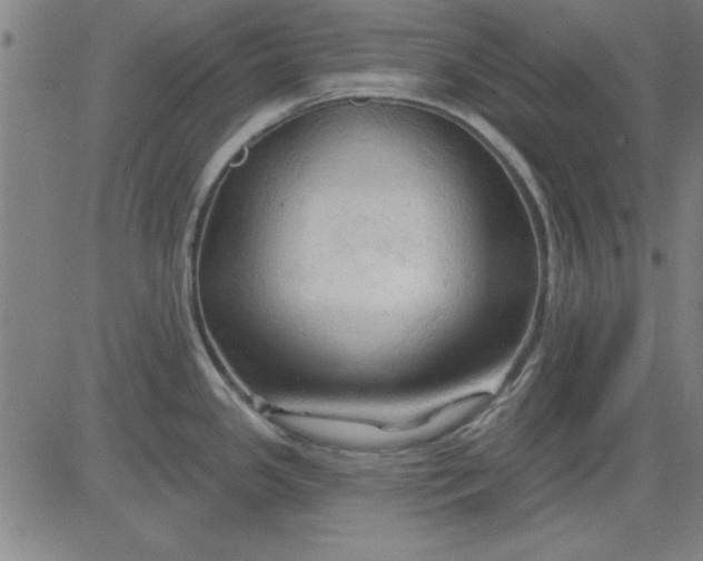 X0000083971341200703021834