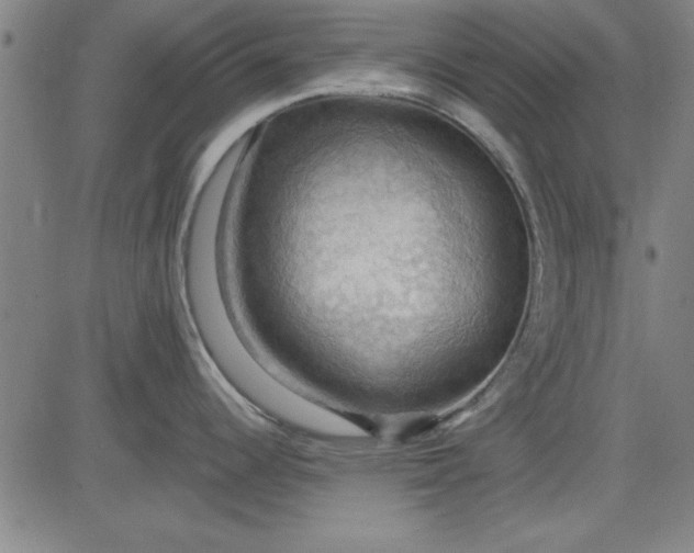 X0000083971344200703021834