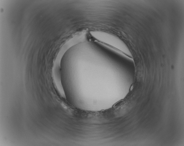 X0000083971345200703021833