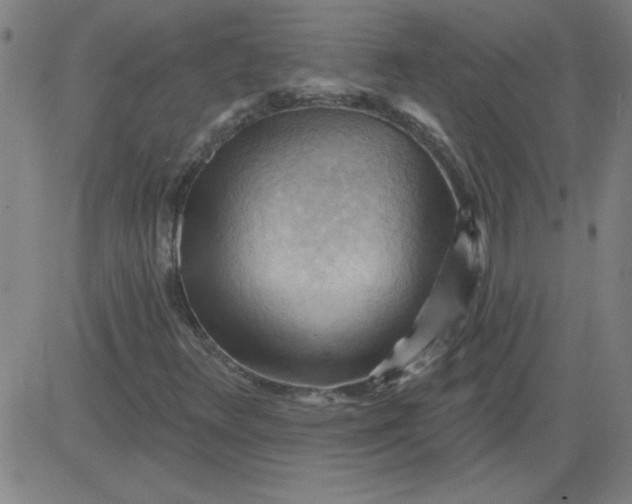 X0000083971348200703021833