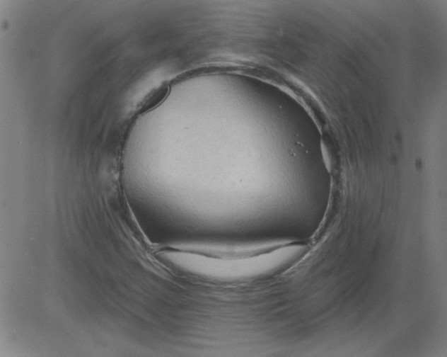 X0000083971355200703021833