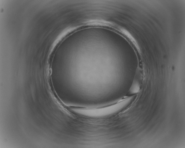 X0000083971376200703021833