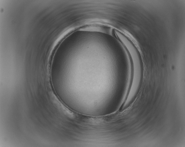 X0000083971384200703021833