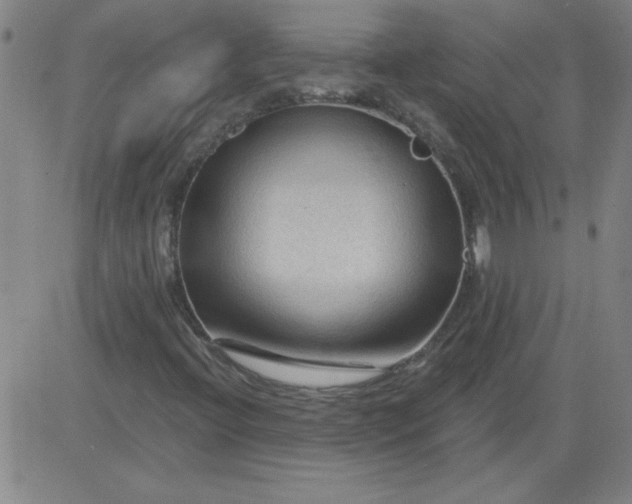 X0000083971396200703021832
