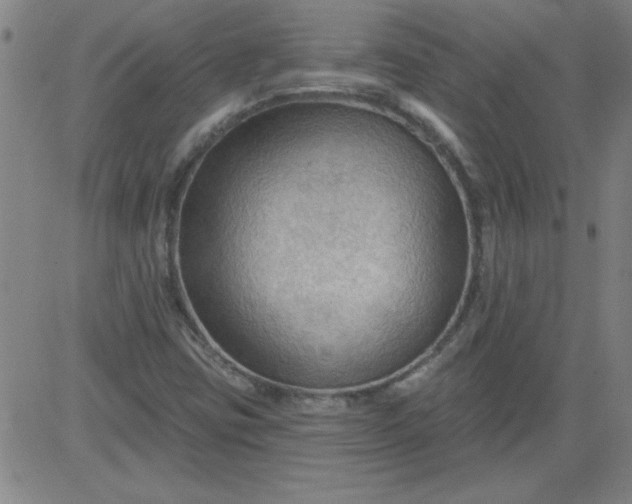 X0000083971403200703021832