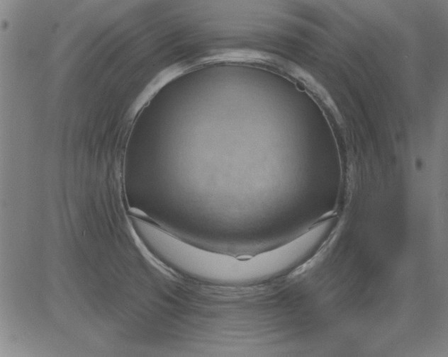 X0000083971425200703021832
