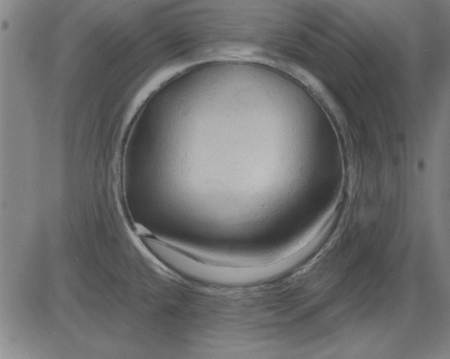 X0000083971432200703021832