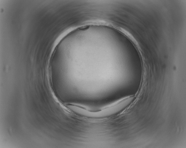 X0000083971440200703021832