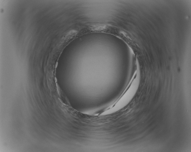 X0000083971441200703021831