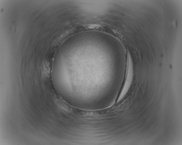 X0000083971443200703021831